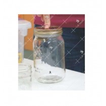 Insect Killing Jar