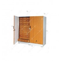 Insect Showcase Cabinet (Large)