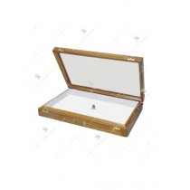 Insect Storage Box