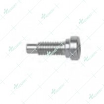 Pertrachanteric Fixator Angulation Locking Screw