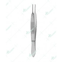 Lester Fixation Forceps, straight 2x3 teeth