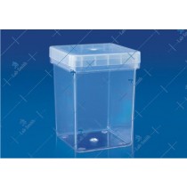 Economy Magenta Box