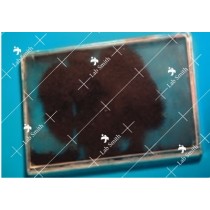 Magnetic Field Demonstrator, Students