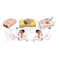 Maternity Examination Model