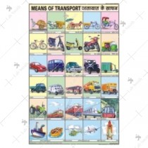 Means of Transport Chart