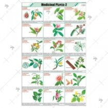 Medicinal Plants-II Chart