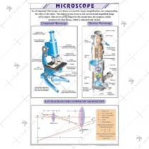 Microscope Chart