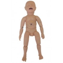 New Born Baby Model