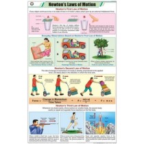 Newton's Laws of Motion Chart