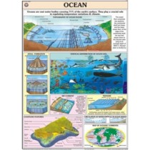 Ocean Chart