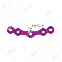 Orbital Plate with Bridge, 