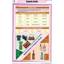 Organic Acids Chart