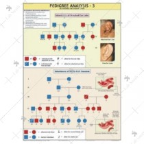 Pedigree Analysis -3 Chart