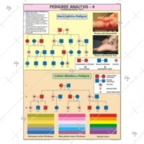 Pedigree Analysis -4 Chart