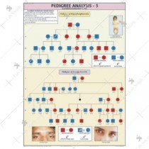 Pedigree Analysis -5 Chart