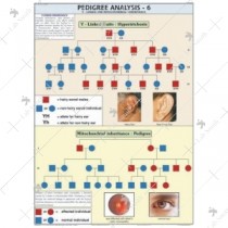 Pedigree Analysis -6 Chart