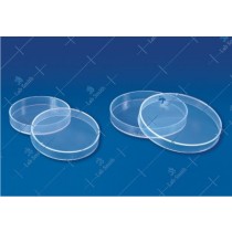 Economy Petri Dish