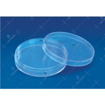 Economy Petri Dish (Culture)