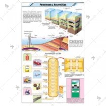 Petroleum & Natural Gas Chart