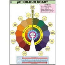 PH Scale Color Chart