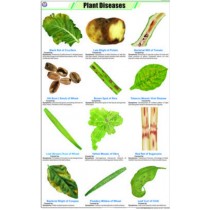 Plant Diseases