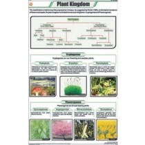 Plant Kingdom Charts