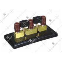 Plug Switch, Two Way