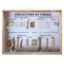 Collection of Fibers