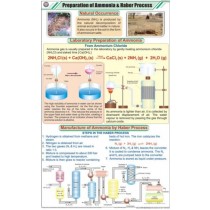Prep. of Ammonia & Haber Process