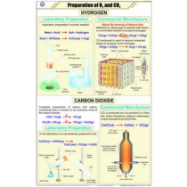 Prep. of Hitrozen and Carbon dioxide Chart