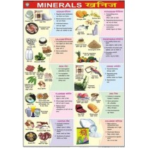 Rocks & Minerals Chart