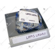 Sample Trays