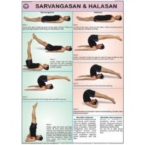 Sarvangasan & Halasan Chart