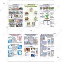 Science Educational Charts