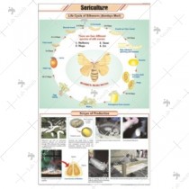 Sericulture (L. H. Silkworm)