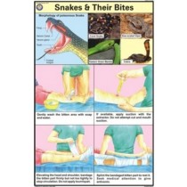 Snakes & their bites Chart