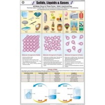 Solids, Liquids & Gases Chart