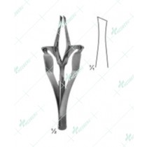 Splinter and Tissue Forceps
