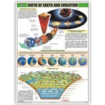 The Birth of the Earth and Evolution Chart