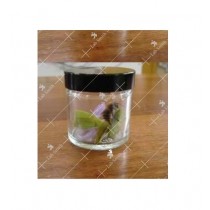 Tissue Culture Jar (Glass)