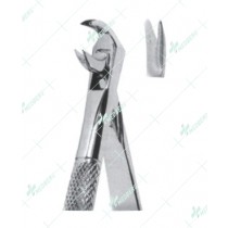 Universal Extracting Forceps, lower teeth