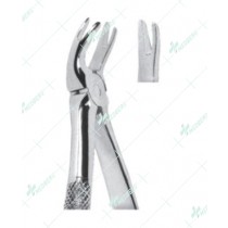 Universal Extracting Forceps, upper teeth