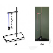 Simple Harmonic Motion Apparatus