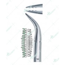 Upper Atraumatic Extraction Root Forceps