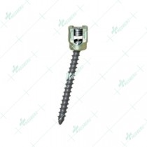 Polyaxial Pedicle Screw with Cap