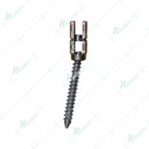 Polyaxial Reduction Pedicle Screw with Cap