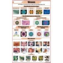 Viruses