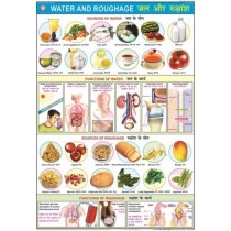 Water & Roughage Chart