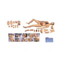 Wound Care Manikin (Male)