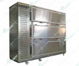New model Danfoss Compressor mortuary body refrigerators